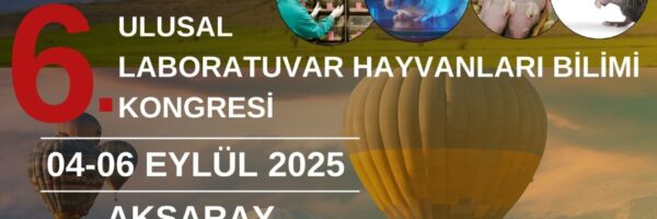 WhatsApp Image 2025-02-20 at 14.54.19 (1) WhatsApp Image 2025-02-20 at 14.54.19 (1)