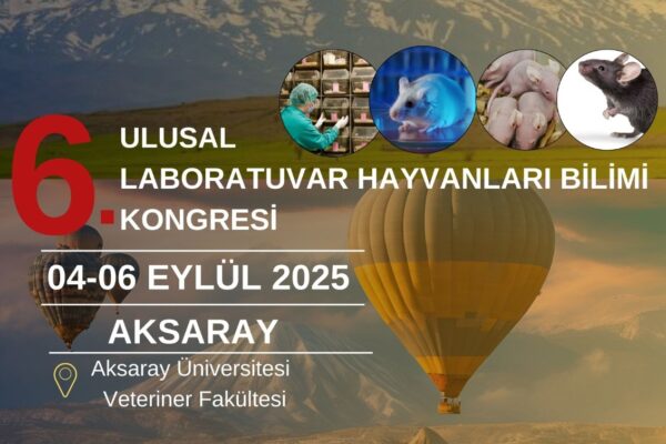 WhatsApp Image 2025-02-20 at 14.54.19 (1) WhatsApp Image 2025-02-20 at 14.54.19 (1)